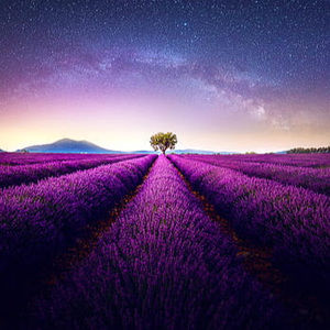 Meet your Posher, Kensley